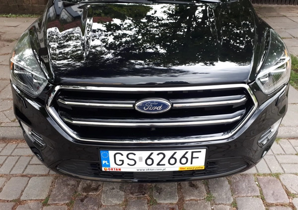 Ford Escape cena 77900 przebieg: 31654, rok produkcji 2019 z Słupsk małe 781